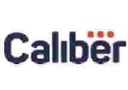 CALIBER FIRST GROUP LTD