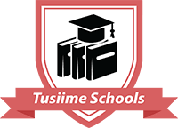 TUSIIME HOLDINGS (T) LTD